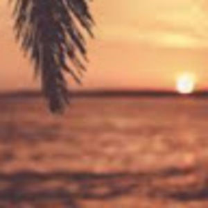 Meet your Posher, Ariel